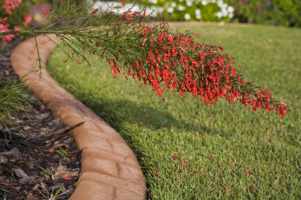 Brick Edging in Huntersville