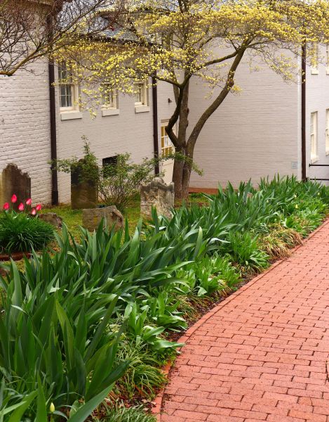 Brick Flatwork Repair in Huntersville